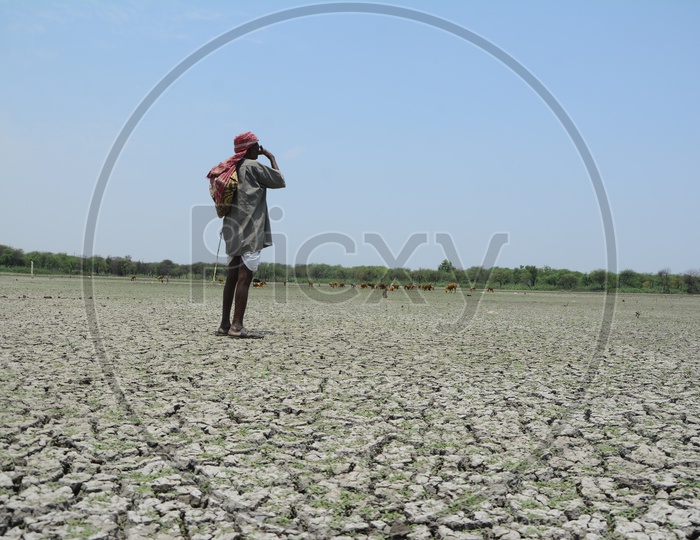 Indian Farmer  at a Drought Land With Dry Cracked Soil Surface