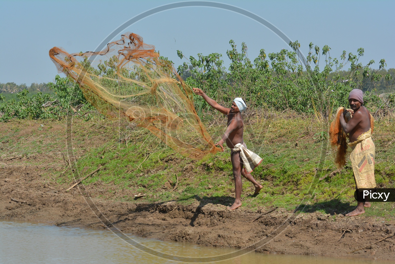 Telangana Local Fisherman Throwing Fishing Nets In Water Ponds