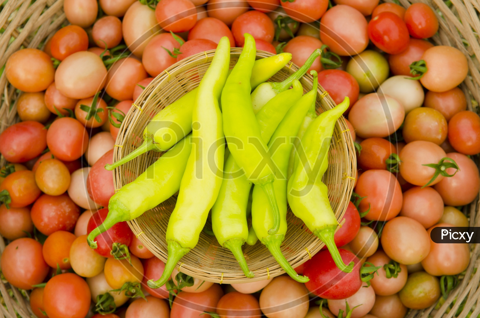 Green Chilies and Tomatoes in a Basket
