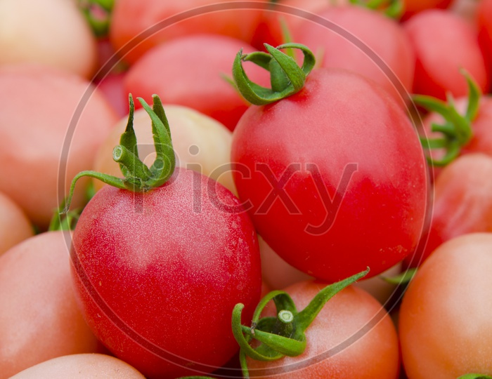 Closeup Shot of Fresh Cherry Tomatoes