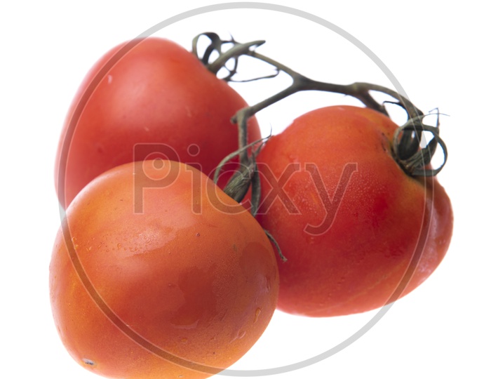 Fresh Red Tomatoes Isolated on White Background