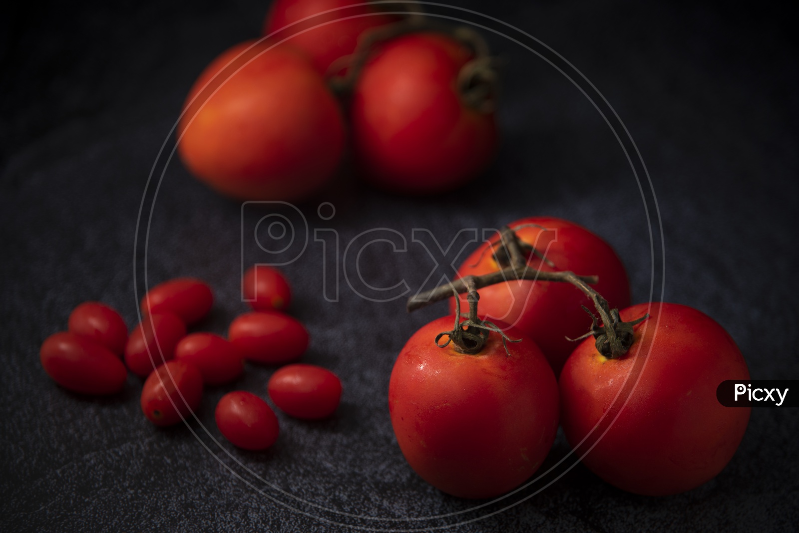 Fresh Red Tomatoes Isolated on Wooden Background