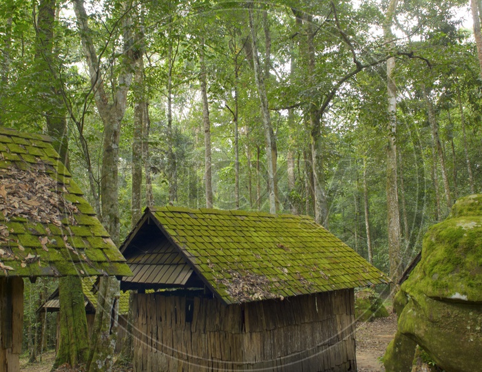 Old Wooden Cottages With Moss In Tropical Forests of Khao Yai National Park
