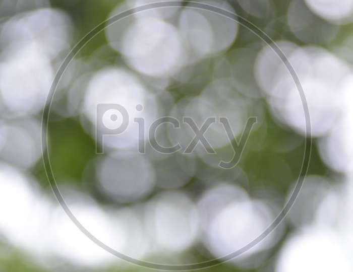 Green  Leafs Bokeh Background  With Abstract Light