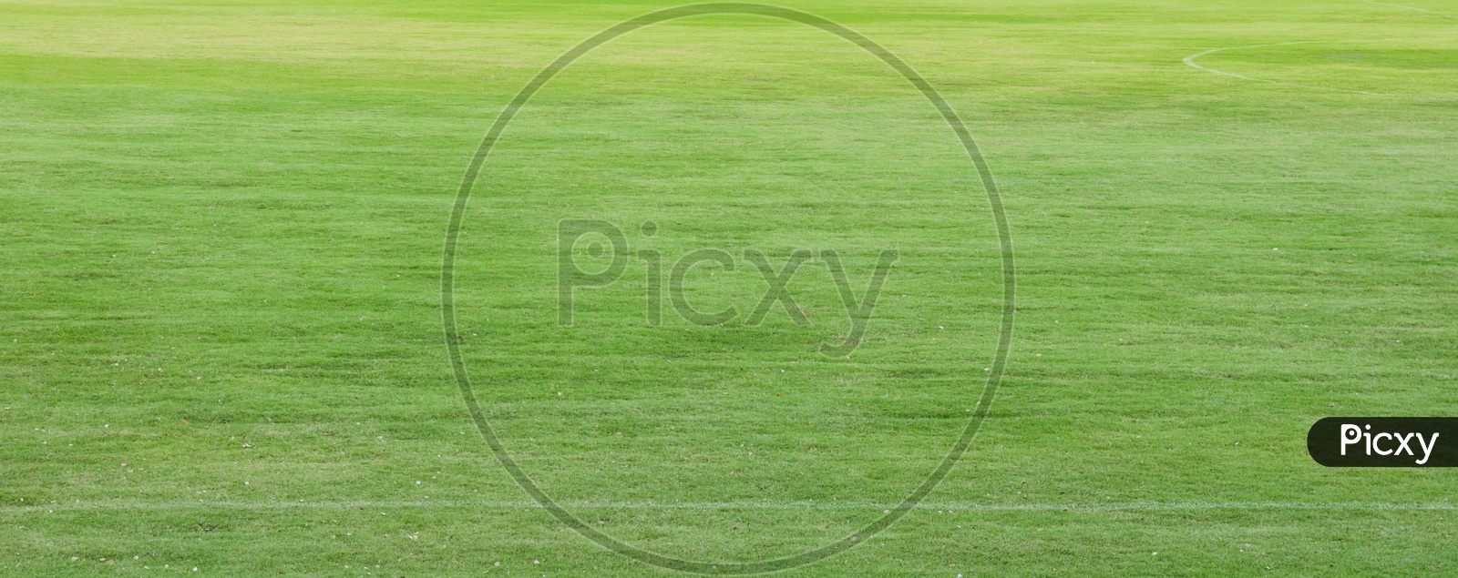 Green sports field with artificial grass