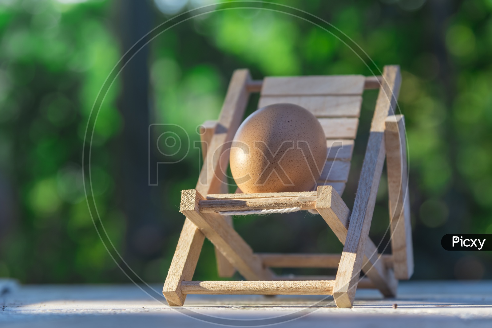Chicken Egg on Miniature Chair  in Nature Backdrop