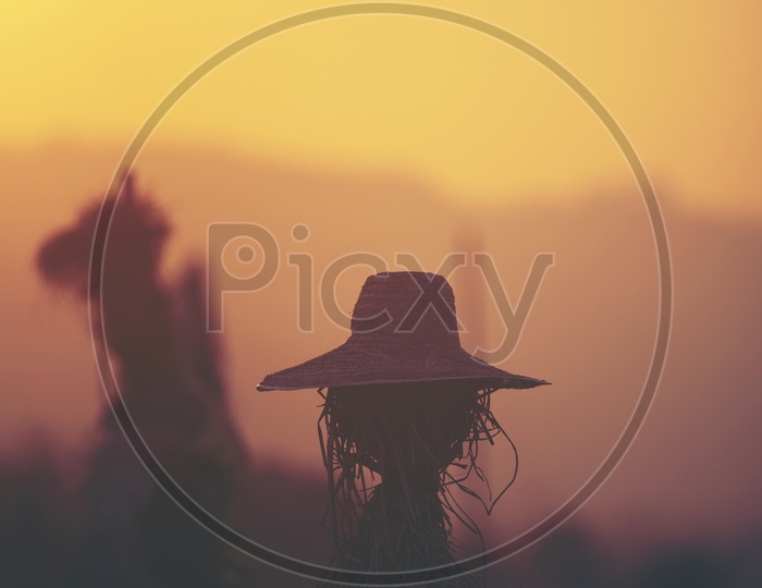 scarecrow in the paddy or rice field With Sunset Backdrop