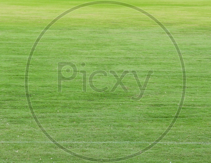 Green sports field with artificial grass