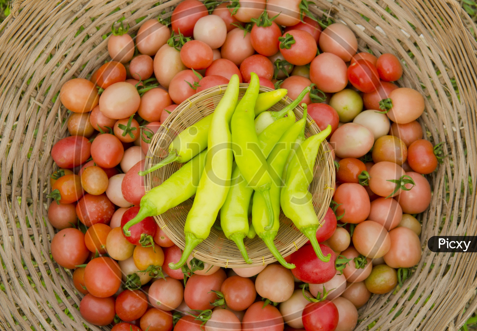 Green Chilies and Tomatoes in a Basket