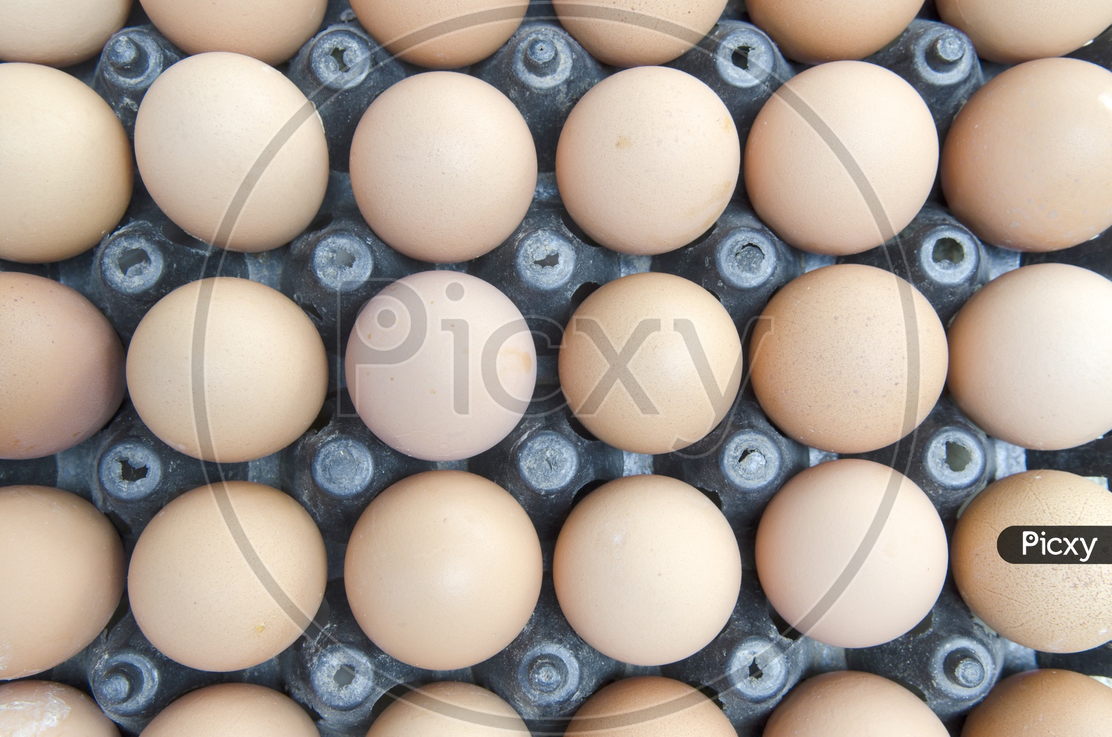 Brown Eggs in a Tray
