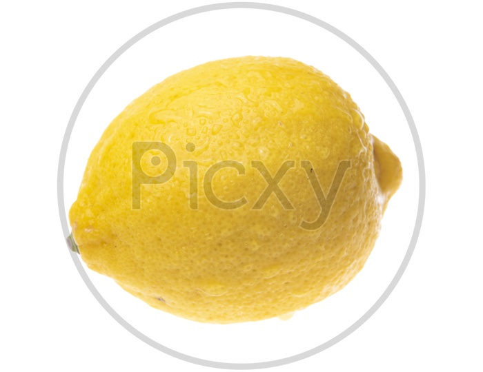 Lemon Isolated on White Background, Tropical fruit