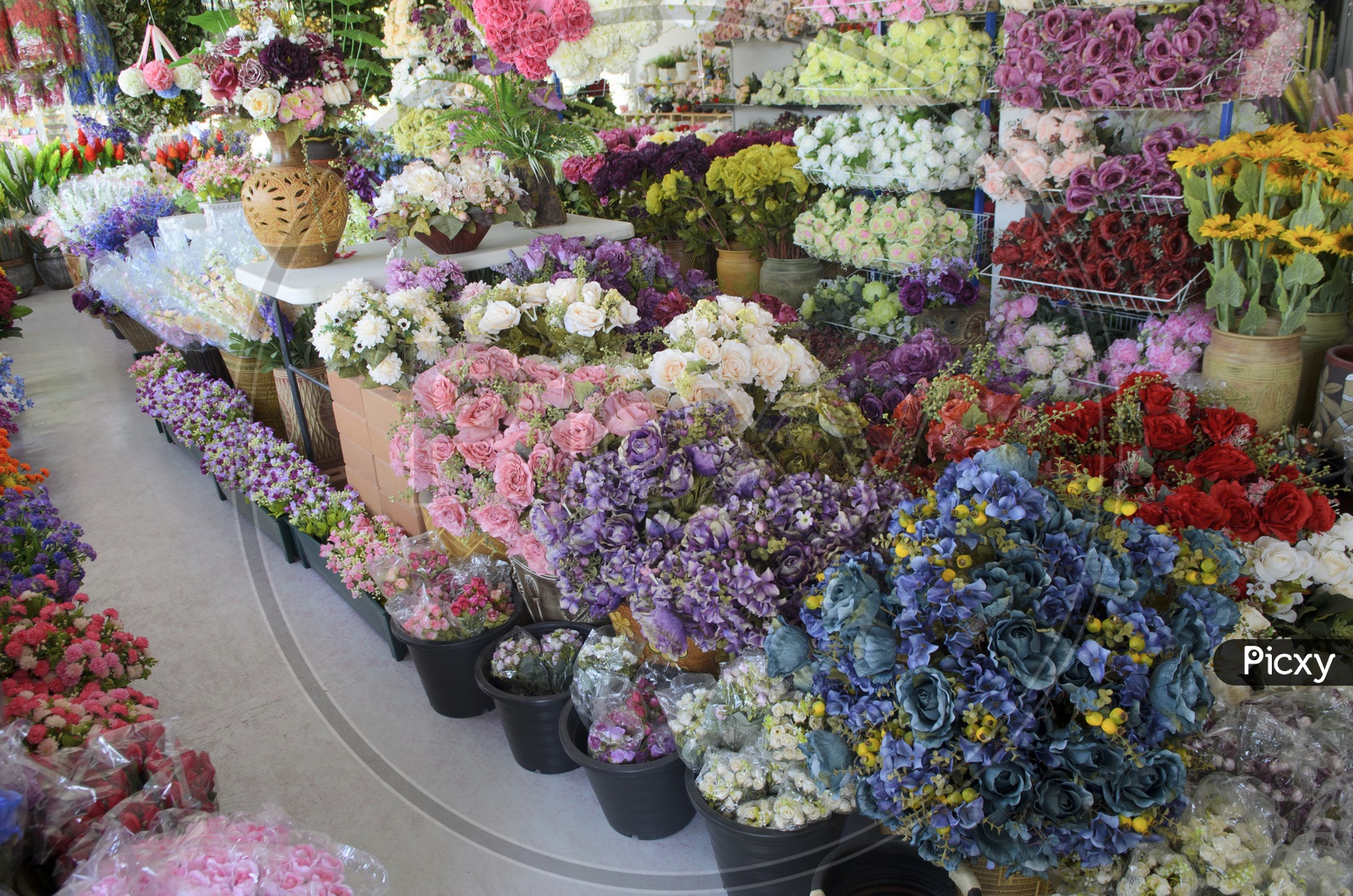 Florist Shop With Different Flowers