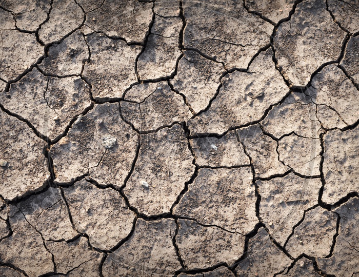details of Dry cracked soil or Drought Land