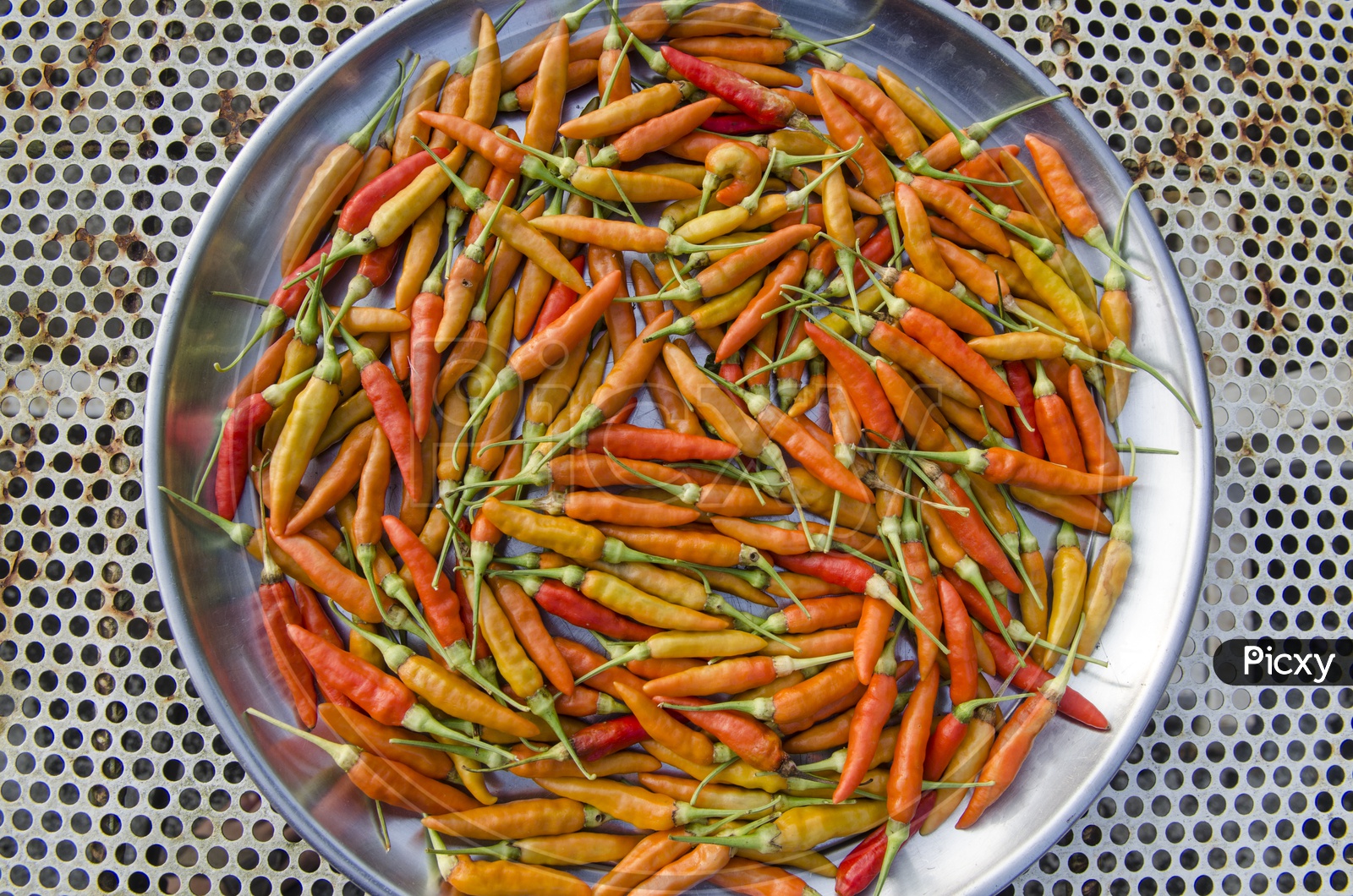 Dried Chilies in a Plate