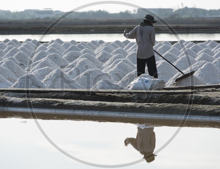Workers are helping to transport salt from salt field. Ban Laem, Phetchaburi, Thailand