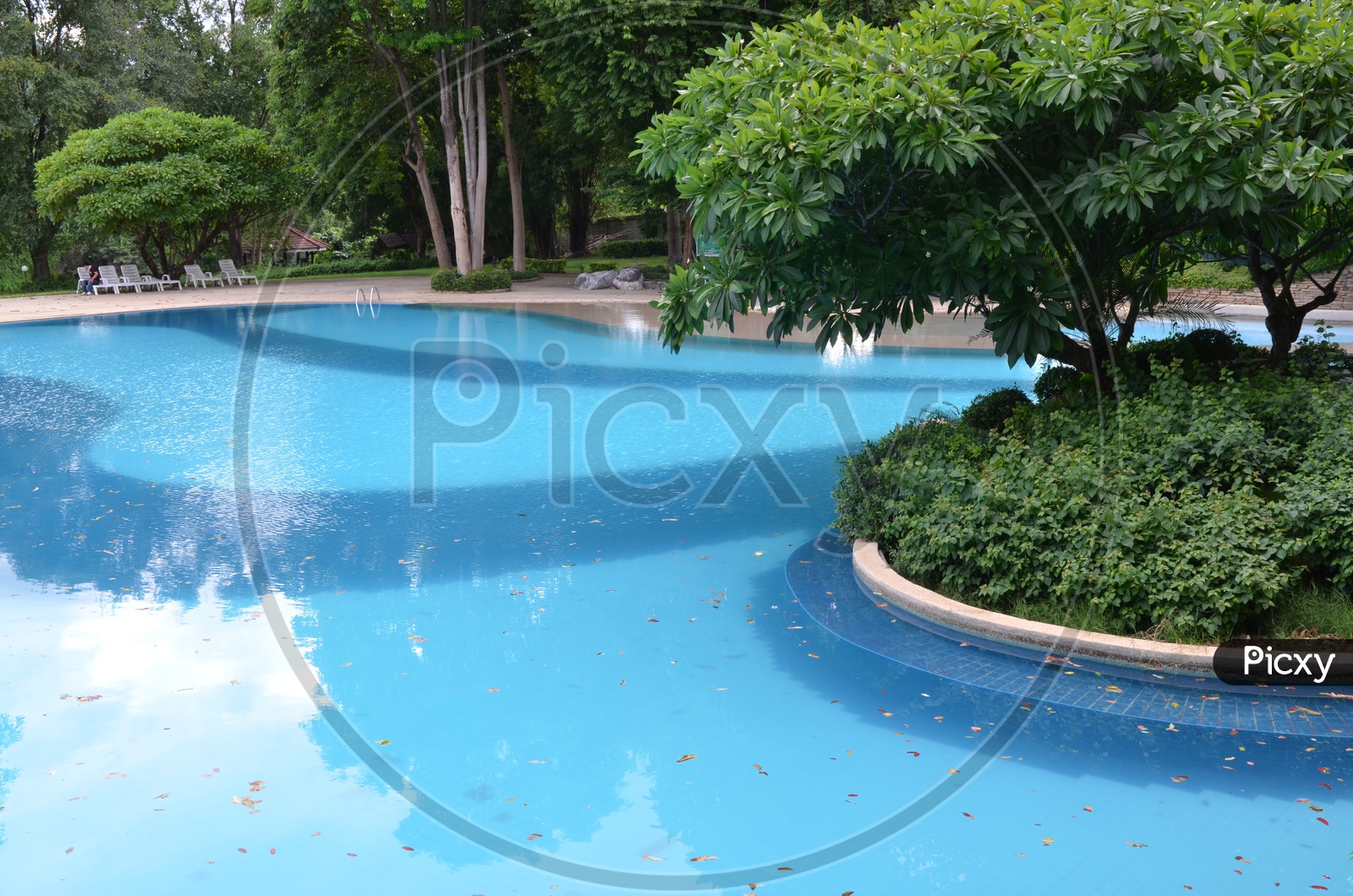 Swimming Pool With Blue water In a Hotel
