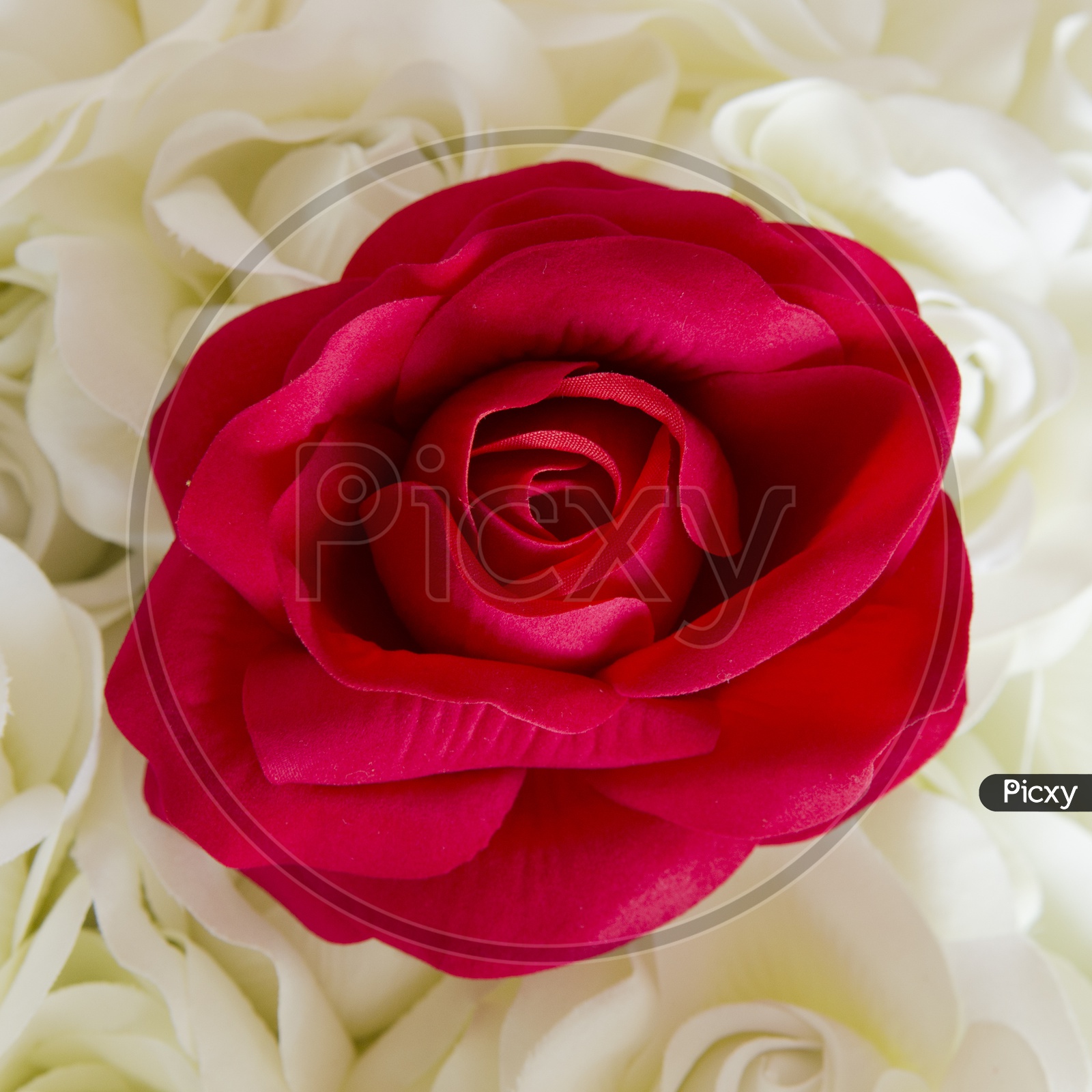 Artificial rose flowers mixed bouquet Closeup