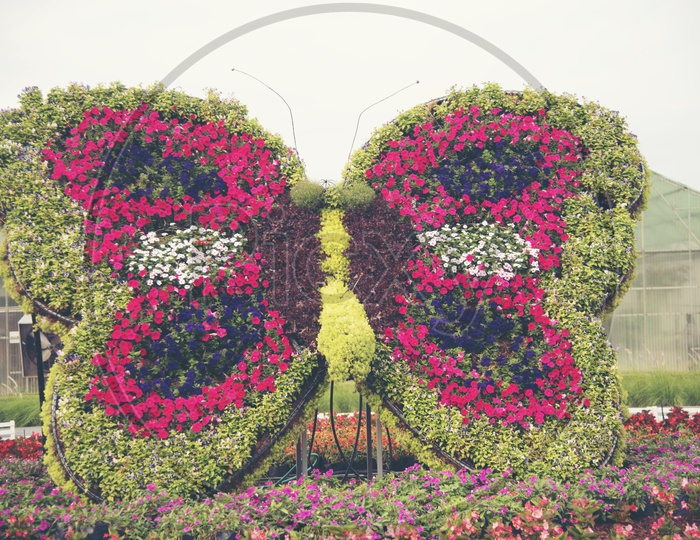 Butterfly Shaped Gardening Of Flowers In a Park