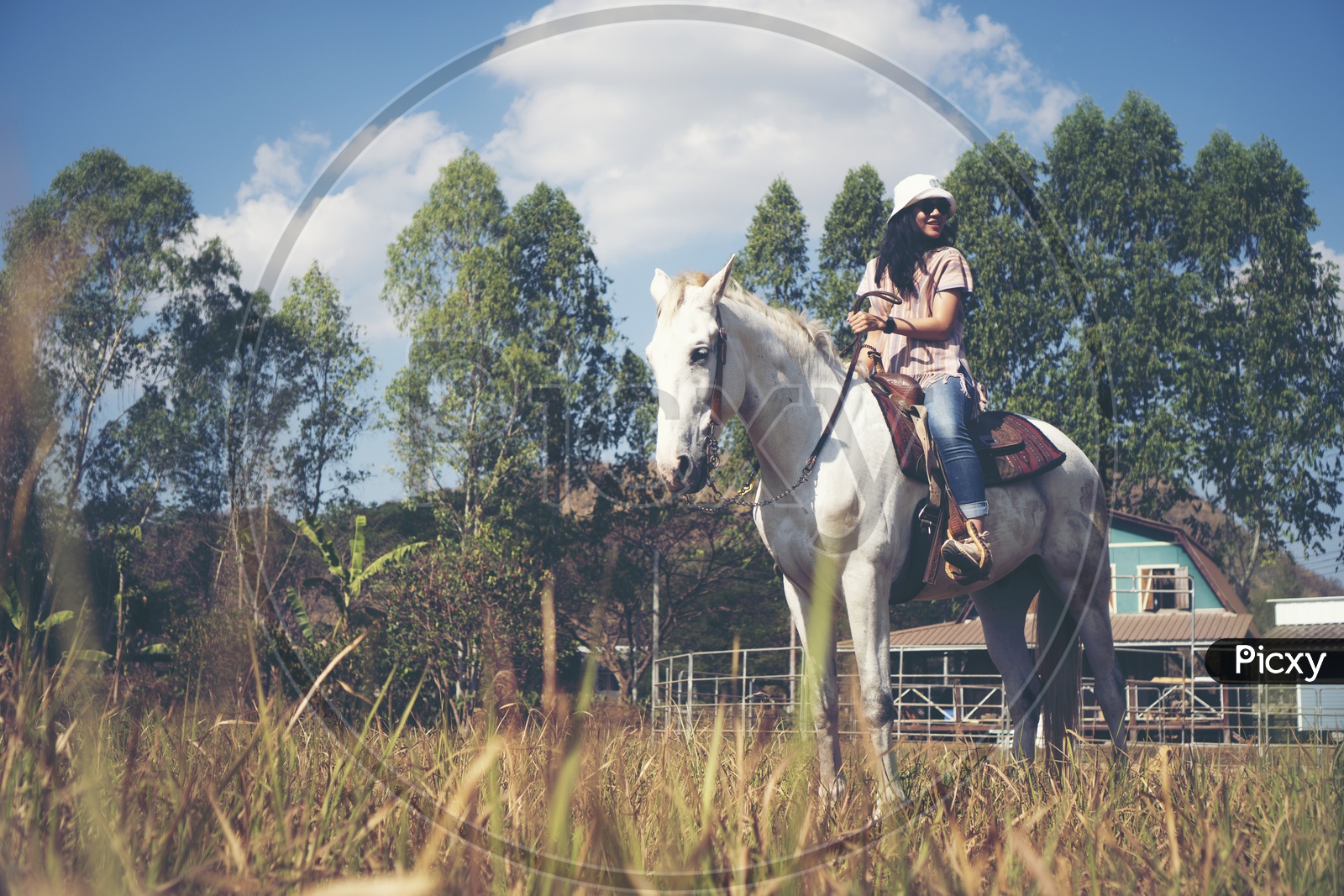 Asian woman riding a horse At Country Side