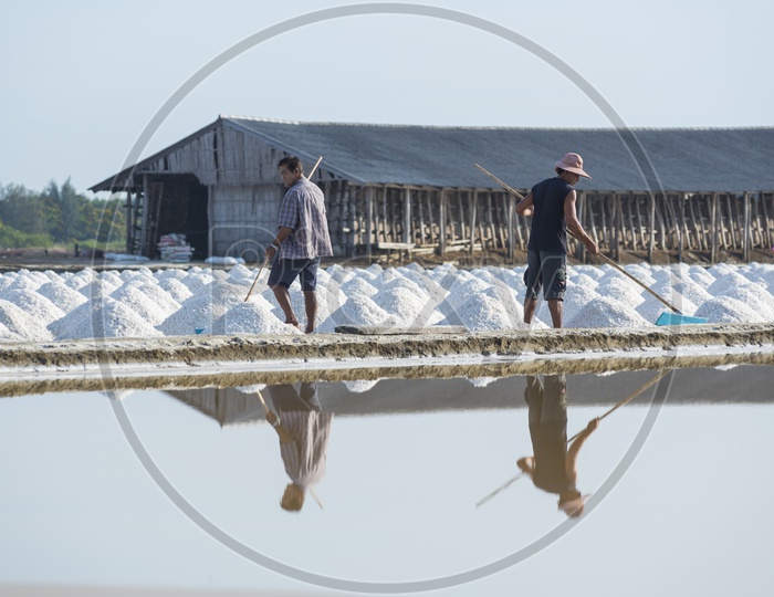 Workers  helping to transport salt from salt field. Ban Laem, Phetchaburi, Thailand