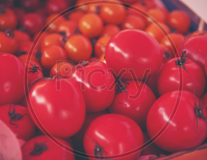 Closeup Shot of Red Tomatoes