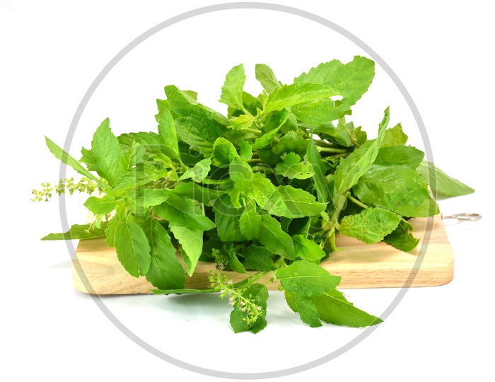Fresh Green Leafy Vegetables On Cutting Wooden Board On an Isolated White Background