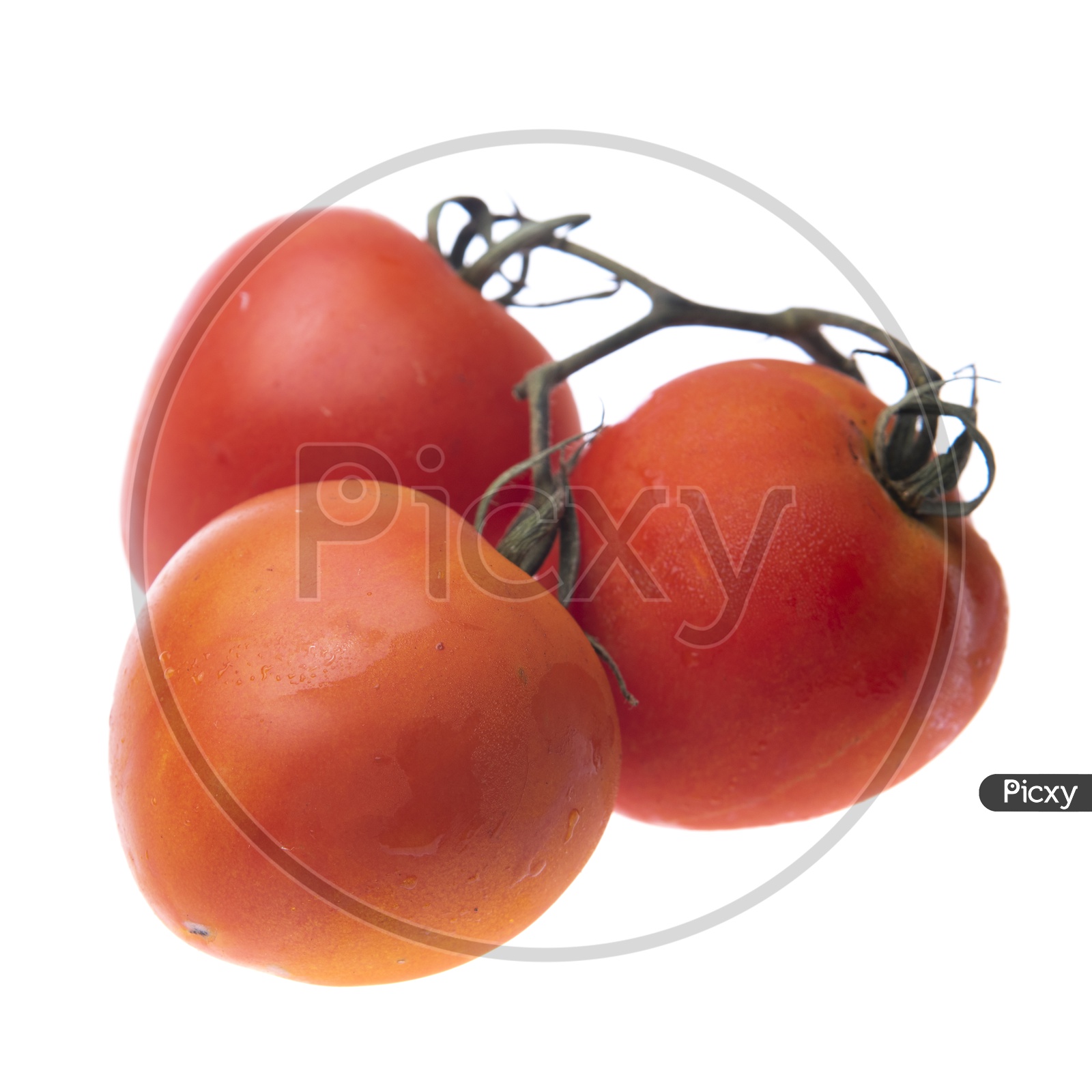 Fresh Red Tomatoes Isolated on White Background