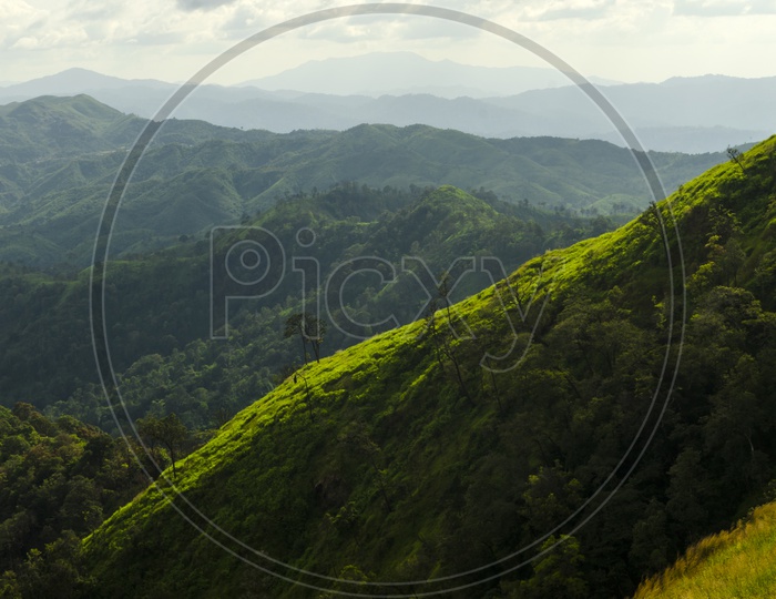 Landscape View Of  Mountain Passes With Green Plantations
