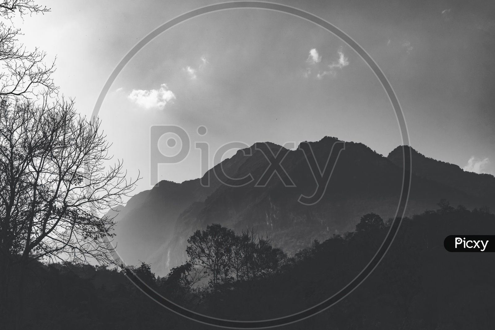 Mountains And Tropical Forest Background With B&W Filter