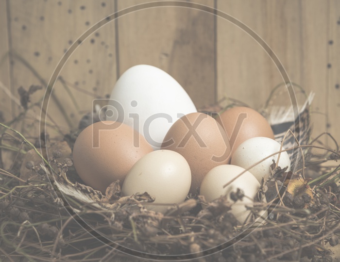 Easter Eggs Background For Festival Template