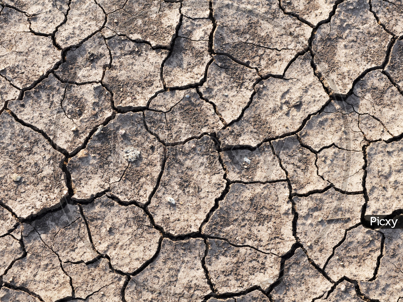 Drought Lands Or Dried Cracked Soil Closeup Forming a Background