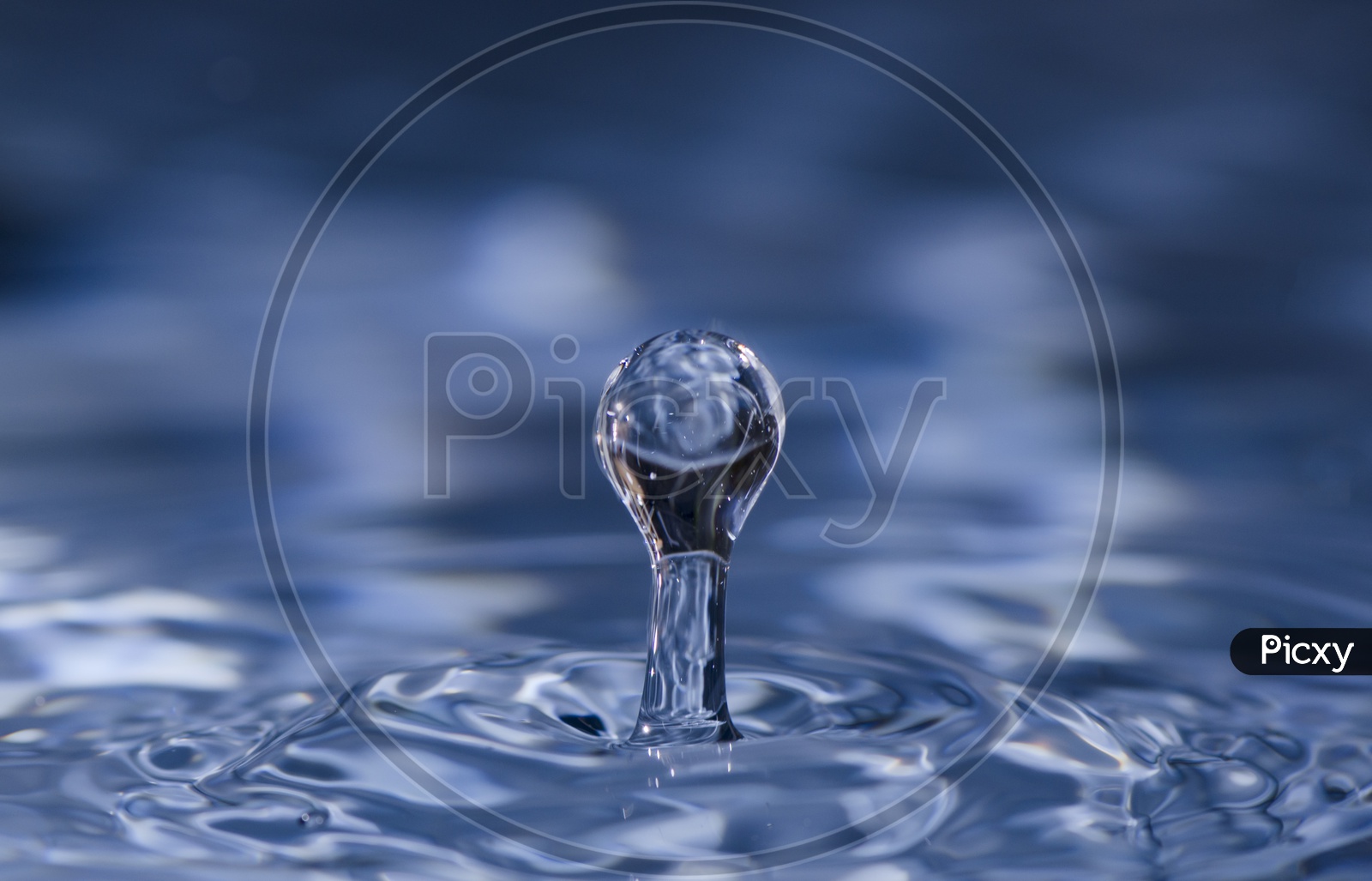 Splash of water crown on blue surface
