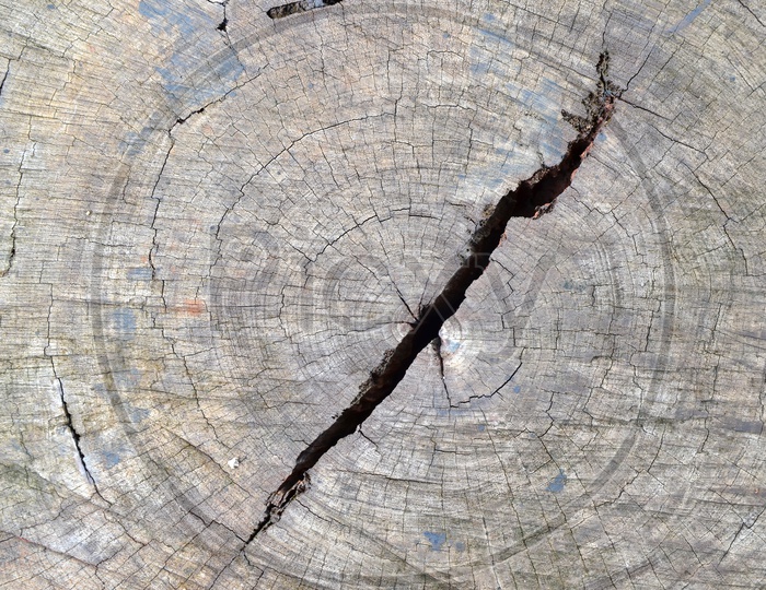 Wooden Grunge texture With Crack Closeup Forming a Background
