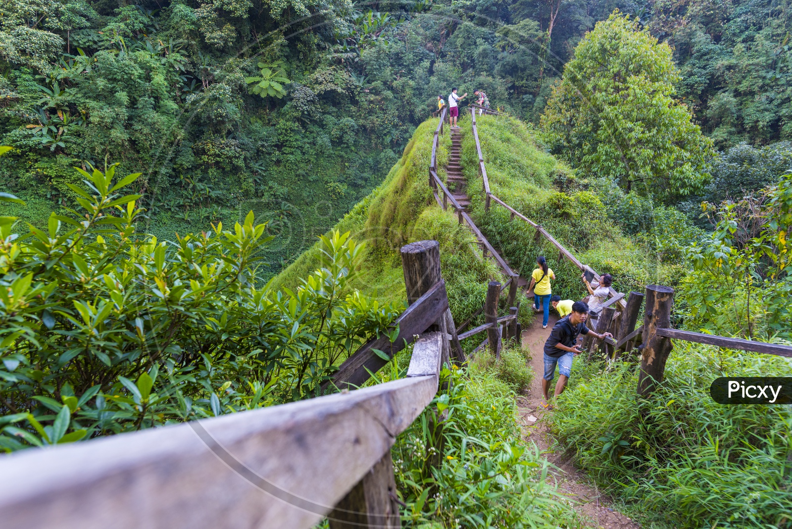 Tourists Trek to the Champasak waterfalls in Laos