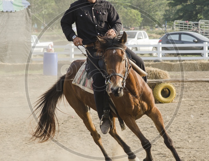 Horseman Or Equestrian Riding Or training Horse In a Coarse  Race