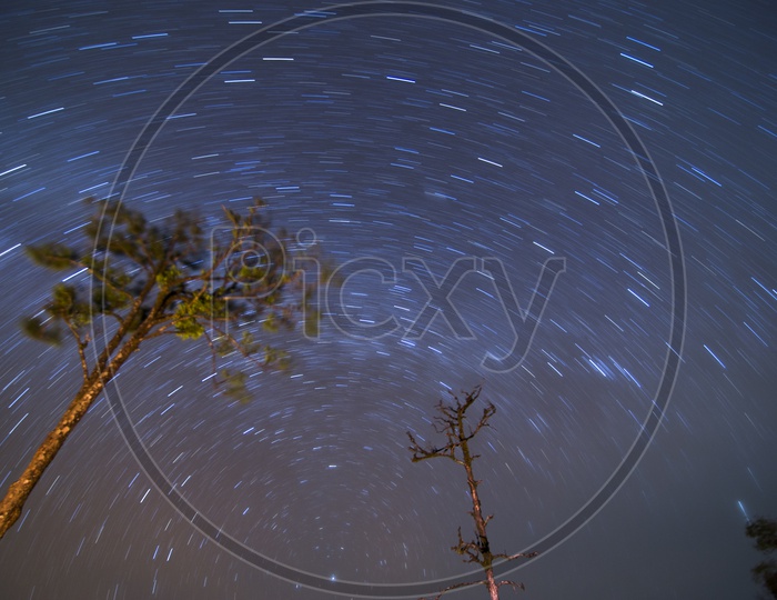 Star Gazing or Sacking Over Mountain, Khao chang puak, Thailand