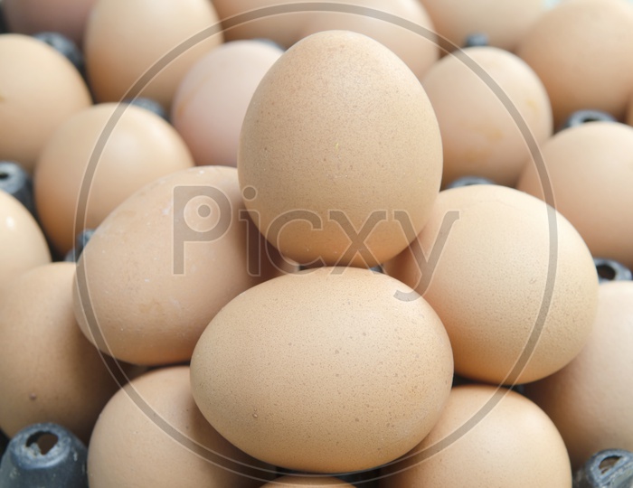 Fresh Brown Eggs in a Tray