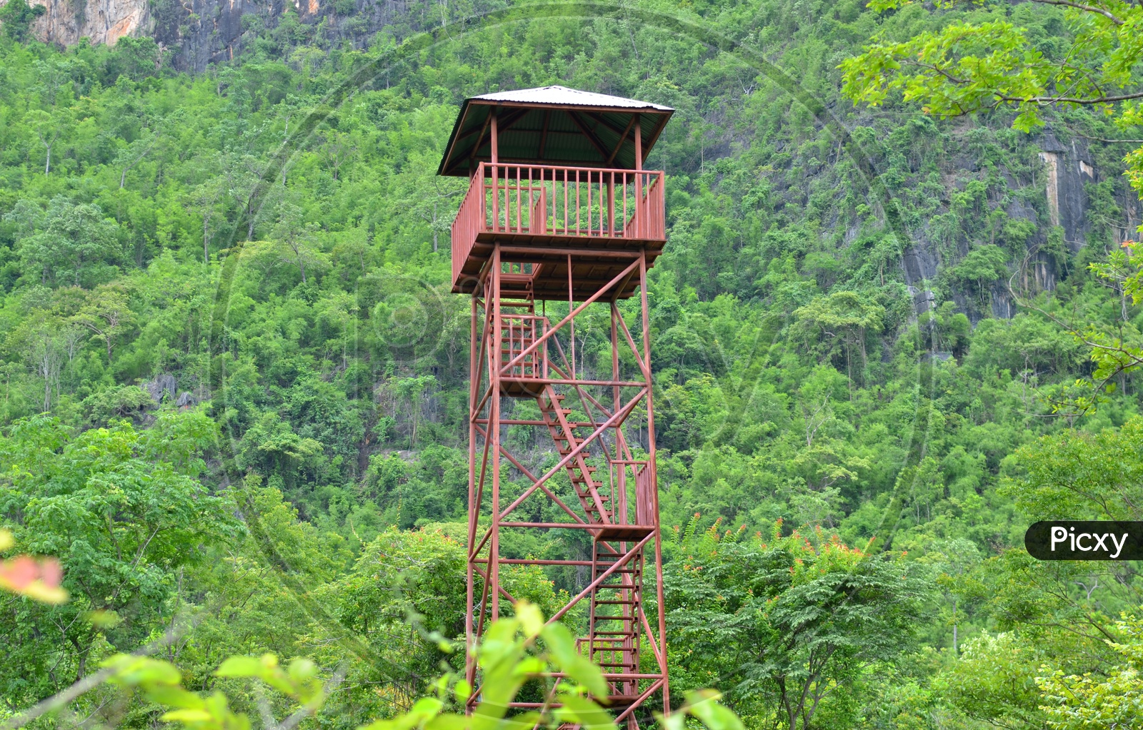 A Tower amidst the wildlife in Thailand