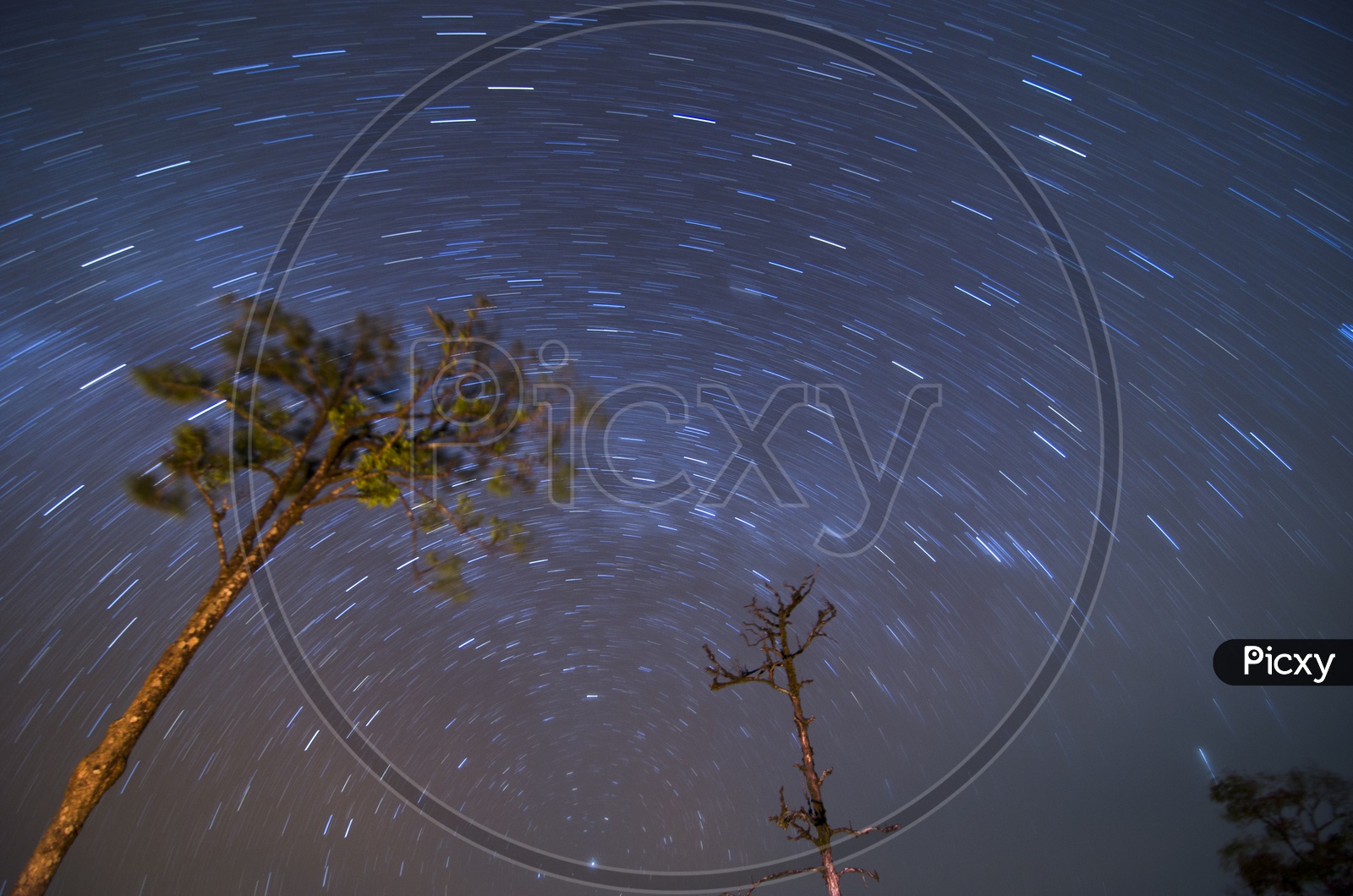 Star Gazing or Sacking Over Mountain, Khao chang puak, Thailand