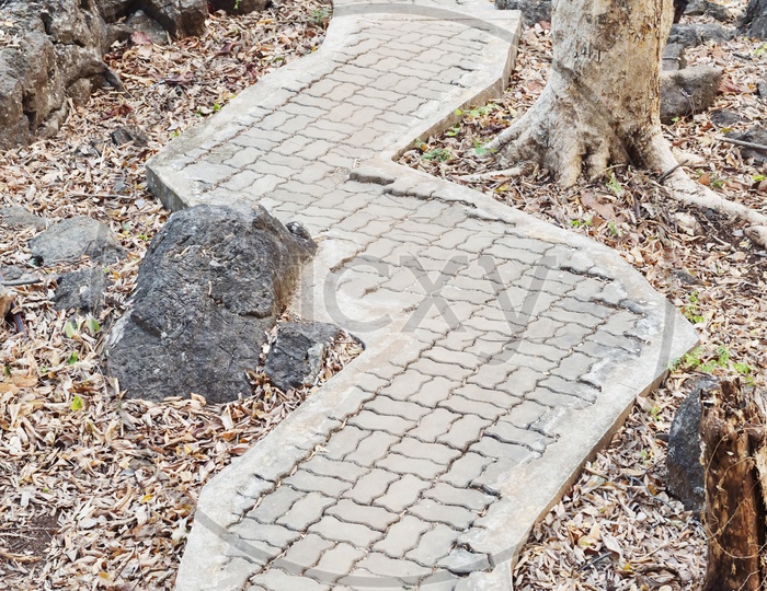Stone walkway on a dry grassy  Lands in the park