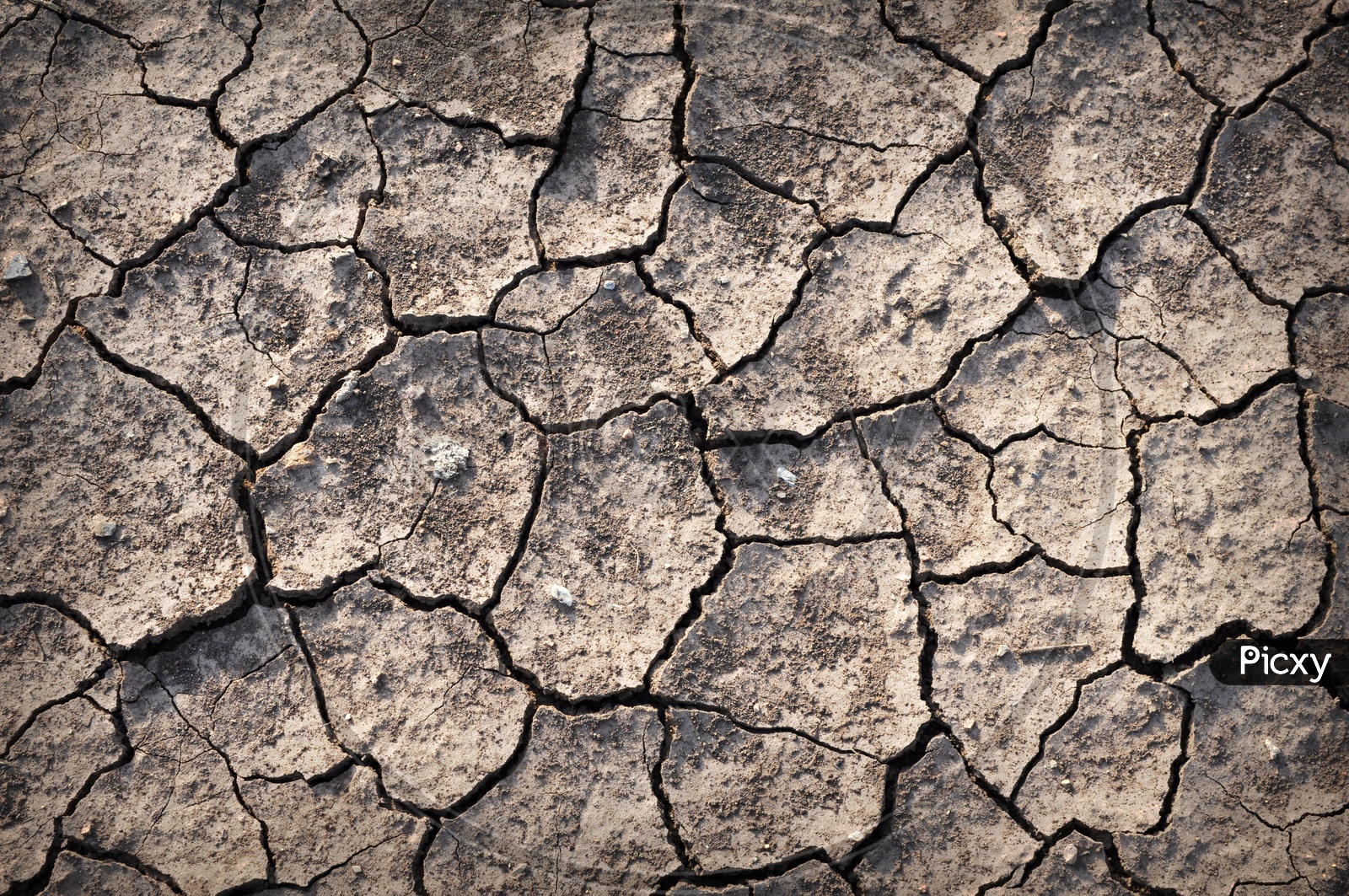 details of Dry cracked soil or Drought Land