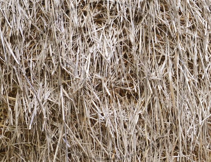 dried Straw texture background