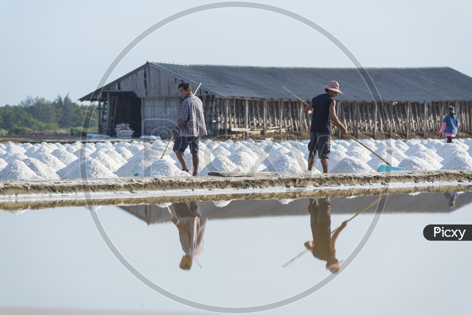Workers  helping to transport salt from salt field. Ban Laem, Phetchaburi, Thailand