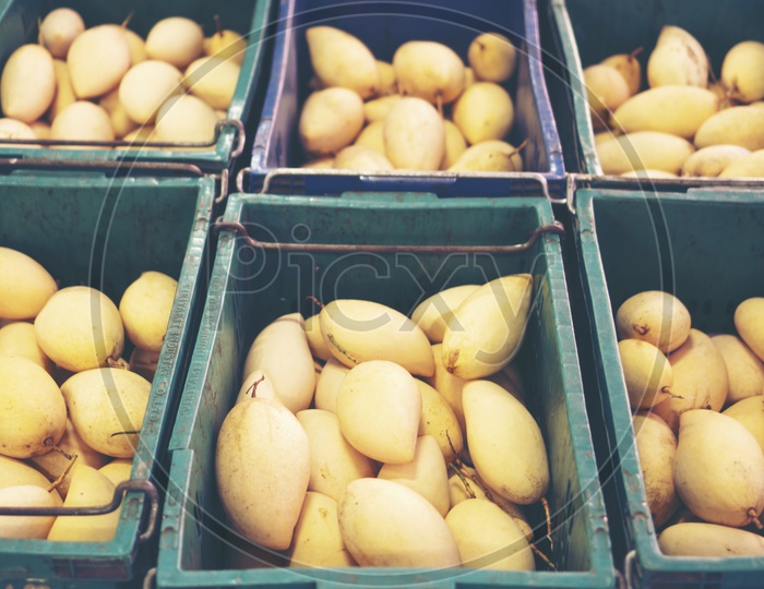 Fresh Yummy Mangoes in a Basket at Farmers market in Thailand