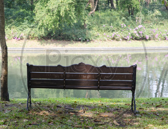 Bench in a park in spring time
