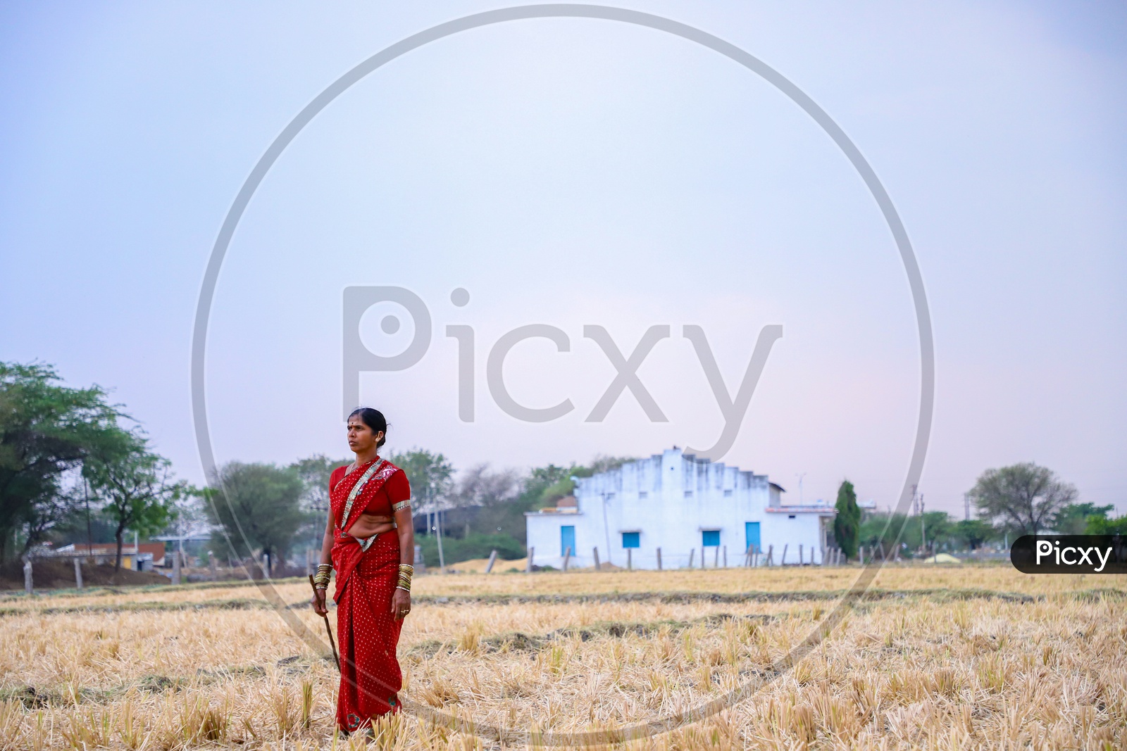 woman standing in farm land