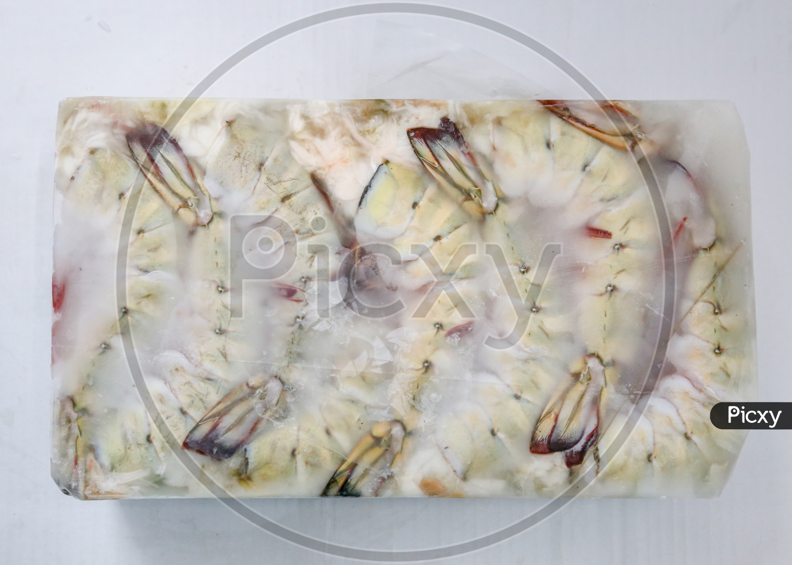 Frozen Block Of Shrimps or Prawns With Product Of India label In a Seafood Exporting Company