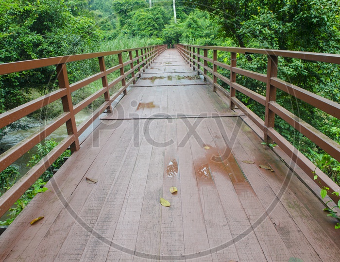 Bridge over the Thailand waterfalls in Forest