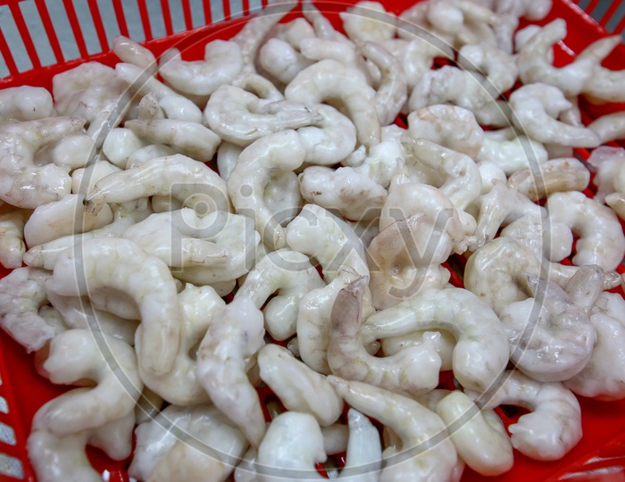 Fresh Prawns or Shrimps In a Seafood Exporting Company