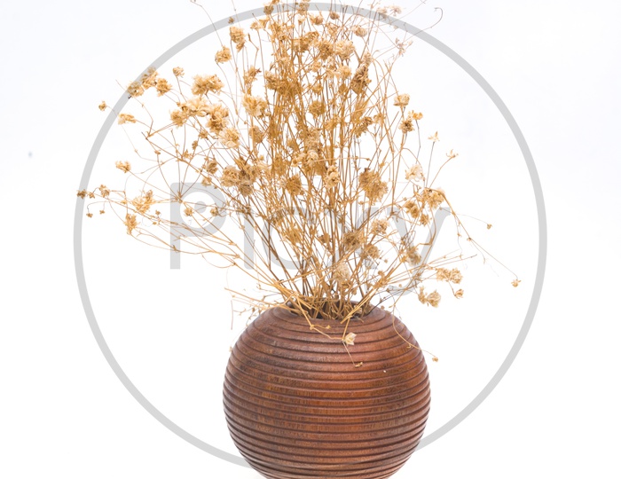 Dried flowers in a wooden vase isolated on white background